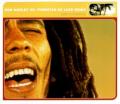 Bob Marley vs Funkstar De Luxe - Sun Is Shining