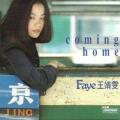 Faye Wong - 容易受傷的女人