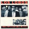 Los Lobos - One Time One Night