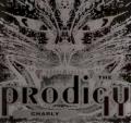 Prodigy - Charly (Alley Cat mix)