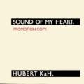 Hubert Kah - The Voice of Silence