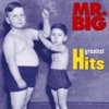 MR BIG - To Be with You