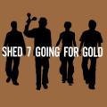 Shed Seven - Disco Down