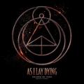 As I Lay Dying - Destruction or Strength