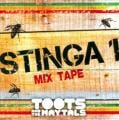Toots and the Maytals - Reggae Got Soul