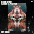 Teenage Mutants - Dark Clouds (feat. Heerhorst & Peter Pahn)