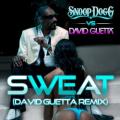 Snoop Dog vs David Guetta - Sweat