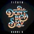 Tiësto - Don't Be Shy