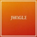 Jungle feat. Erick The Architect - Candle Flame