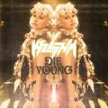 Ke$ha - Die Young REMIX